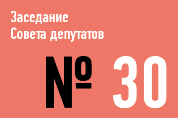30-ое заседание Совета депутатов